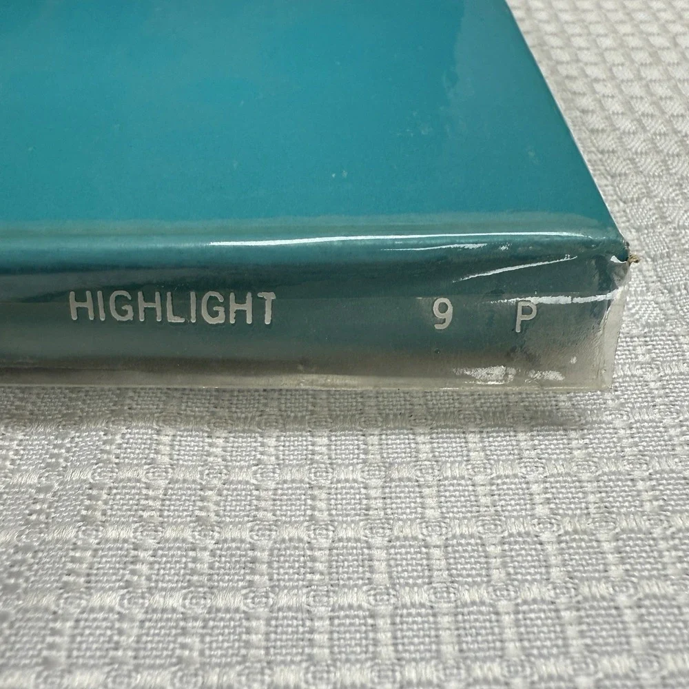 6 Vtg 50s Van‎ Raalte Nines Highlight 9 P Nylon Stockings Seams New 2 Boxes